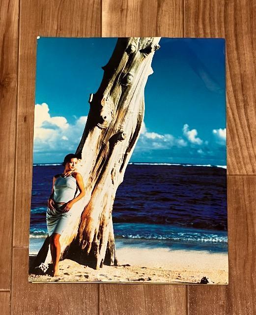 ALBA ROSAAo[U~j|X^[  uh 