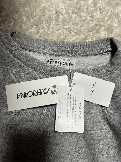 1.6Vi^OtAmericanaRbgACvI[o[