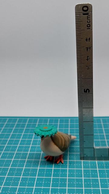 �y�L�W�o�g�z�V�����v�[�n�g �� TAMA-KYU ��3�Z���` �� �t�B�M���A �K�`�� �J�v�Z���g�C �u�V���[�h �V�����v�[�n�b�g  �� �z�r�[�� 