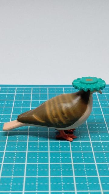 �y�L�W�o�g�z�V�����v�[�n�g �� TAMA-KYU ��3�Z���` �� �t�B�M���A �K�`�� �J�v�Z���g�C �u�V���[�h �V�����v�[�n�b�g �� �z�r�[�� 