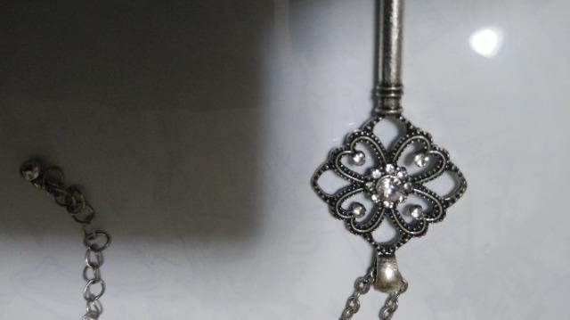 �A���e�B�[�N�V���o�[��&�N���[�o�[�l�b�N���X���S�X����/�K�[���[�������C�N�ɂ����� �� �����A�N�Z�T���[/���v�� 