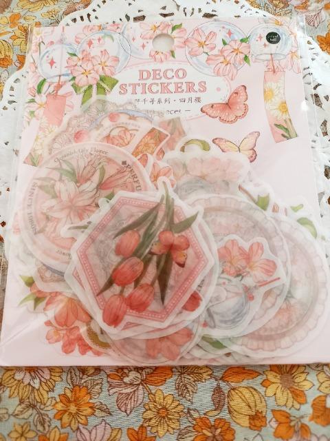 ViJsNԕt[NV[40聙   CeA/Ct 