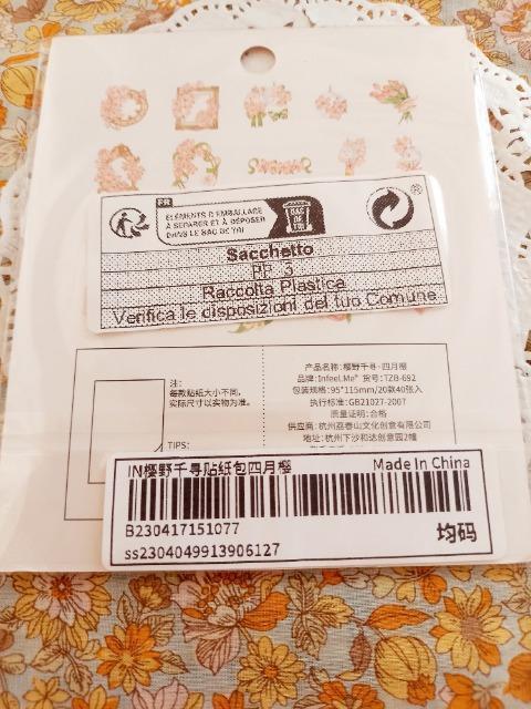 ViJsNԕt[NV[40聙  CeA/Ct 