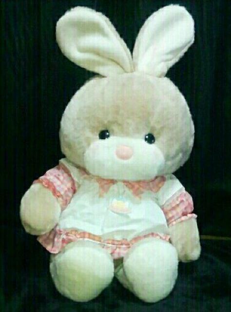 A   Vi 95cm  g  ʂ l` BIG e    