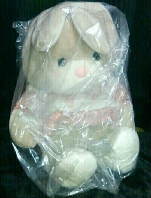 A   Vi 95cm  g  ʂ l` BIG e   