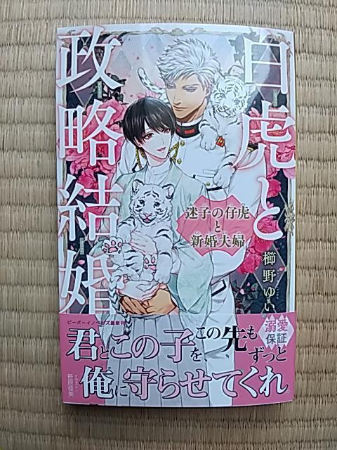 ՂƐ@q̌ǌՂƐVvw@䂢/ 