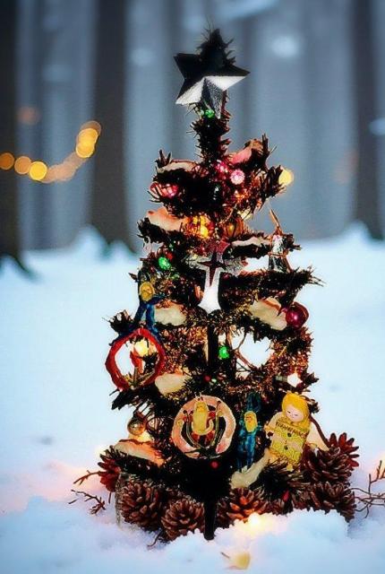 a g NX}Xc[ Zbg NX}X  C~l[V CeA T^ [X Vg GWF c[   CeA/Ct 