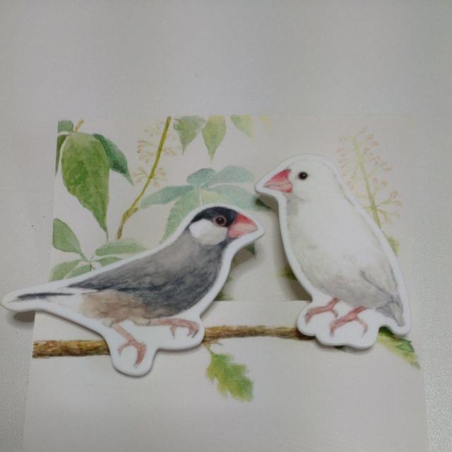 Vigp̃Nbvu`EZbg   CeA/Ct 