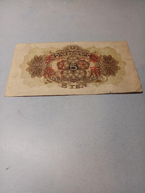 ���؎��όR�[����5�~�D �� �z�r�[�� 