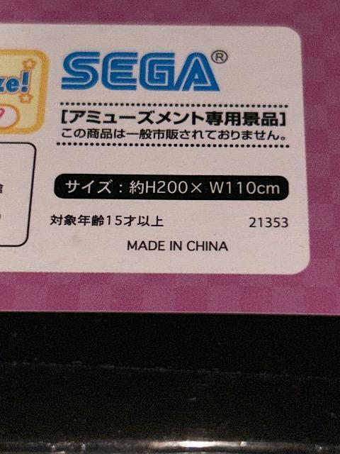 BORDER BREAK エアバースト フィオナ ビッグシーツ < アニメ/コミック/キャラクター  BORDER BREAK エアバースト フィオナ ビッグシーツ < アニメ/コミック/キャラクターの