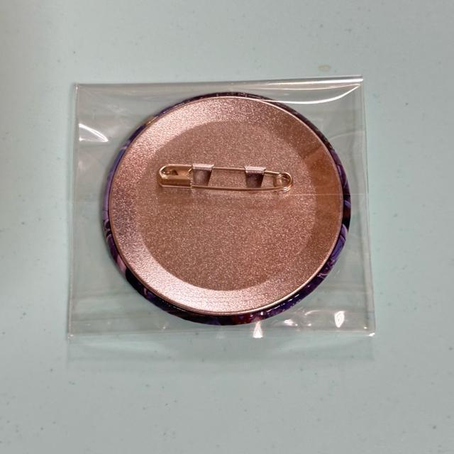 �A�C�h���b�V���Z�u�� �O���[�v�L�O��2025 �ʃo�b�W�R���N�V���� ������ �� �A�j��/�R�~�b�N/�L�����N�^�[�� 