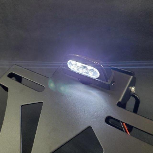 �t�F���_�[���X�L�b�g ���t���N�^�[ LED�i���o�[�� Ninja250 �� �� ������/�o�C�N