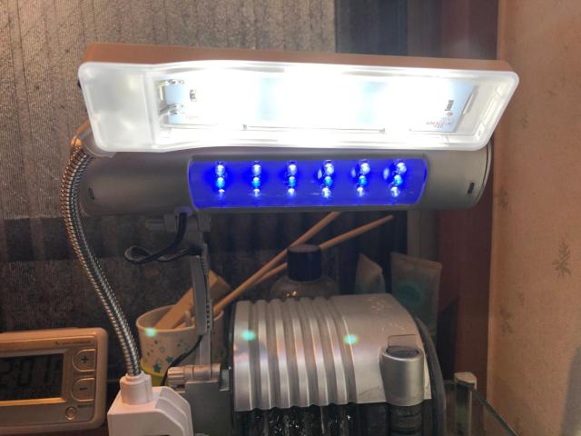 テトラ (Tetra) LEDミニエコライト ライト アクアリウム 熱帯魚 メダカ 金魚 < ペット/手芸/園芸  テトラ (Tetra) LEDミニエコライト ライト アクアリウム 熱帯魚 メダカ 金魚 < ペット/手芸/園芸の