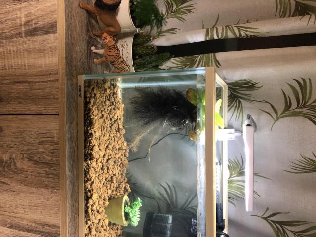 テトラ (Tetra) LEDミニエコライト ライト アクアリウム 熱帯魚 メダカ 金魚 < ペット/手芸/園芸  テトラ (Tetra) LEDミニエコライト ライト アクアリウム 熱帯魚 メダカ 金魚 < ペット/手芸/園芸の