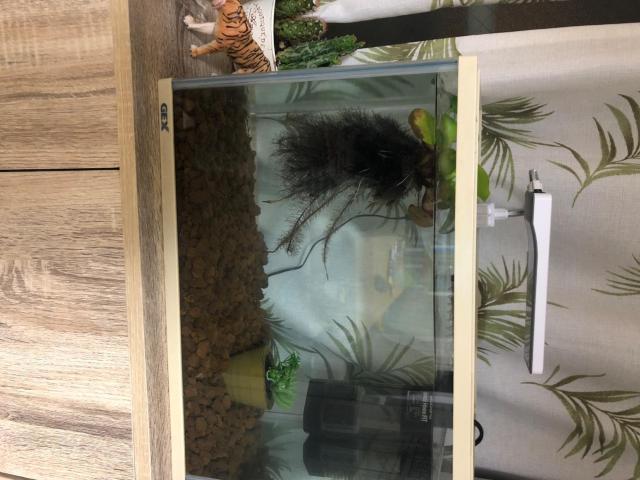 テトラ (Tetra) LEDミニエコライト ライト アクアリウム 熱帯魚 メダカ 金魚 < ペット/手芸/園芸  テトラ (Tetra) LEDミニエコライト ライト アクアリウム 熱帯魚 メダカ 金魚 < ペット/手芸/園芸の