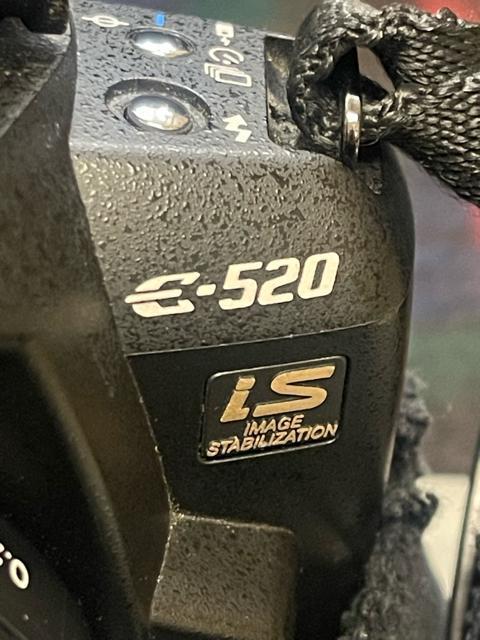 IpX@fW^჌tJ@OLYMPUS E-520  fW^J@[dt@Yt  Ɠd/AV 