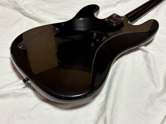 Fresher Black Beauty �G���L�x�[�XGTX 1926-01-1 �� �z�r�[�� 