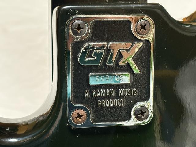 Fresher Black Beauty �G���L�x�[�XGTX 1926-01-1 �� �z�r�[�� 