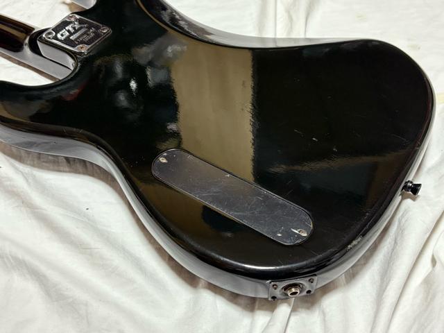 Fresher Black Beauty �G���L�x�[�XGTX 1926-01-1 �� �z�r�[�� 