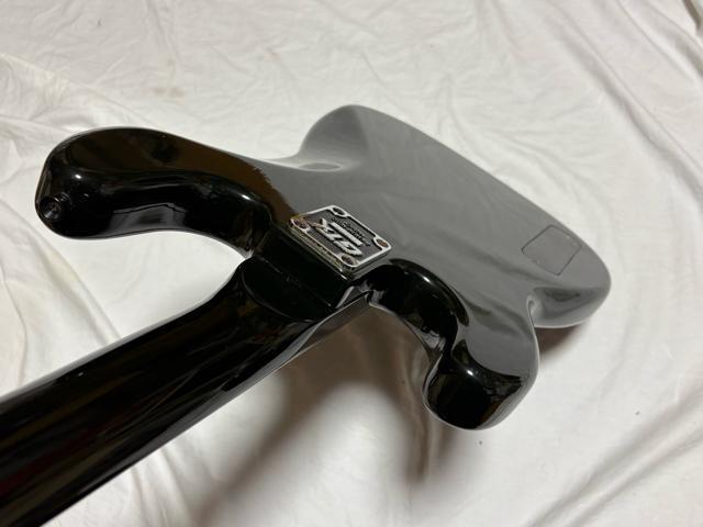 Fresher Black Beauty �G���L�x�[�XGTX 1926-01-1 �� �z�r�[�� 