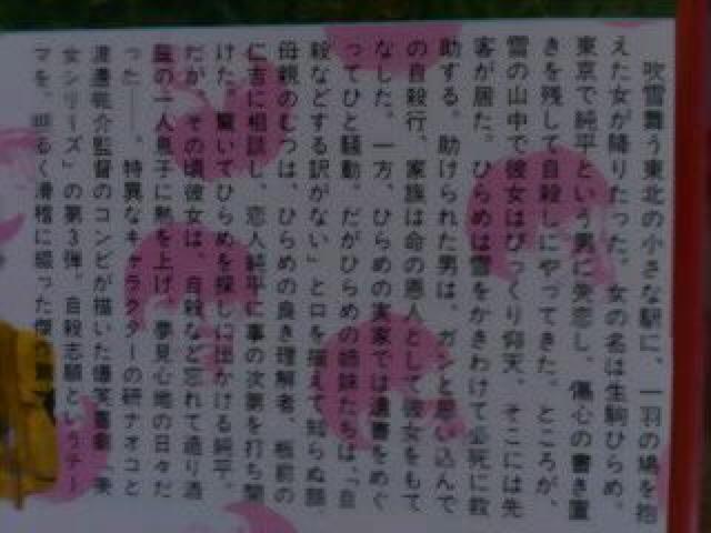 ☆廃盤レアVHS『美女放浪記』☆最終弾!研ナオコ出演-第3弾-ピンクレディ < CD/DVD/ビデオ ☆廃盤レアVHS『美女放浪記』☆最終弾!研ナオコ出演-第3弾-ピンクレディ < CD/DVD/ビデオの