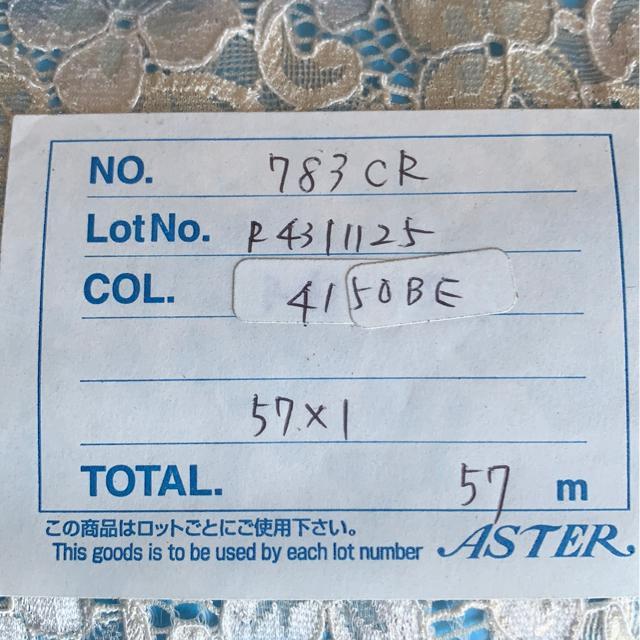 ԕ[X@Ch13cm57m  ybg/|/| 