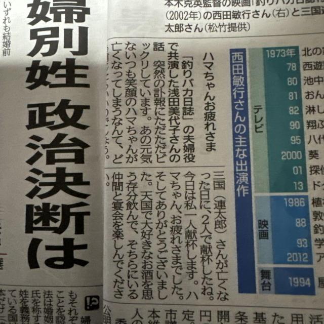 cqs񎀖S̐VL_ːV2024N1018IB  zr[ 