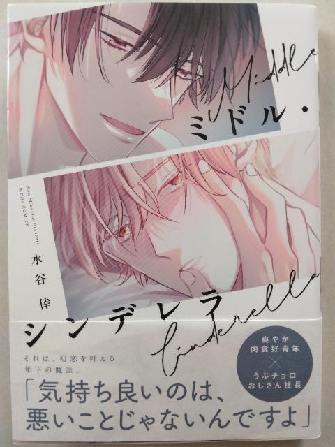 ミドル・シンデレラ/水谷倖 < アニメ/コミック/キャラクター  ミドル・シンデレラ/水谷倖  < アニメ/コミック/キャラクターの