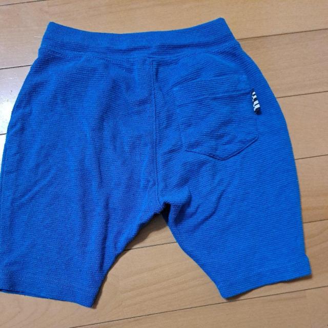 95cm�̔��Y�{��