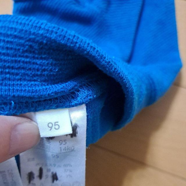 95cm�̔��Y�{��