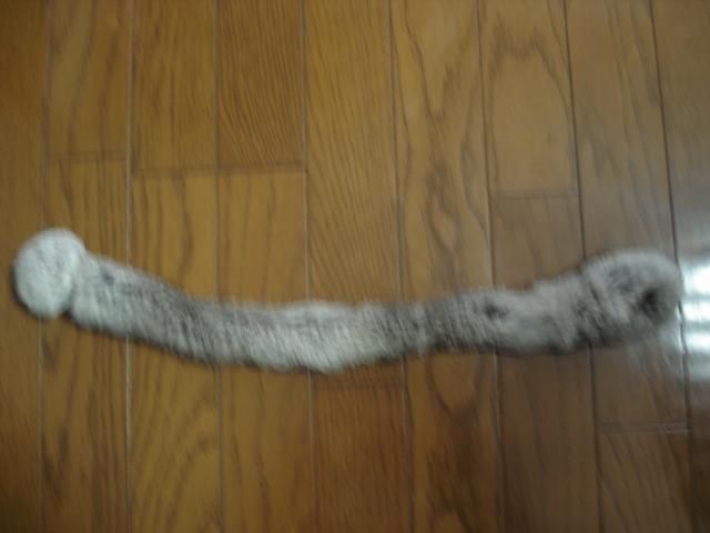 ★わっかで通して留めるミニファー★クローゼット整理価格! < 女性ファッション ★わっかで通して留めるミニファー★クローゼット整理価格! < 女性ファッションの