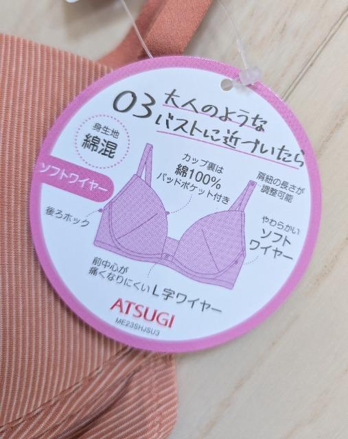 �a�V�T��ATSUGI���n�C�W���j�������ɂ����\�t�g���C���[�u���W���[���V�i���������� �� �L�b�Y/�x�r�[�� 