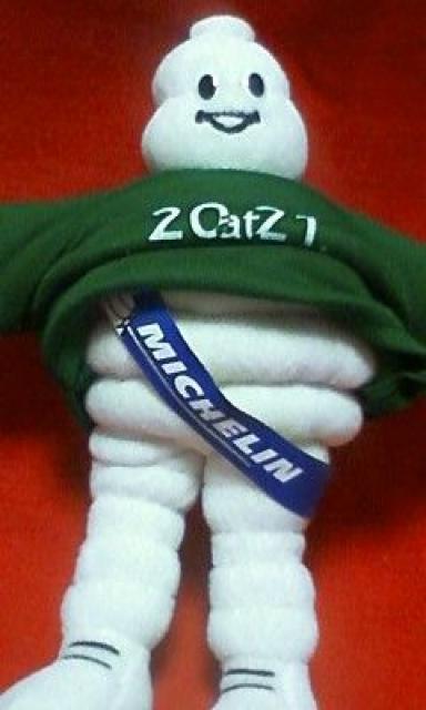 ���~�V���������r�o���_�����ʂ������Afternoon Tea��T�V���c���p��