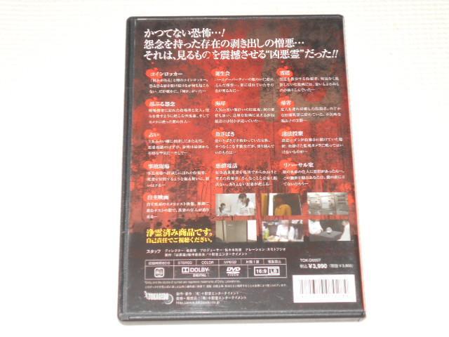 DVD ꂽef13A Vol.2  CD/DVD/rfI 