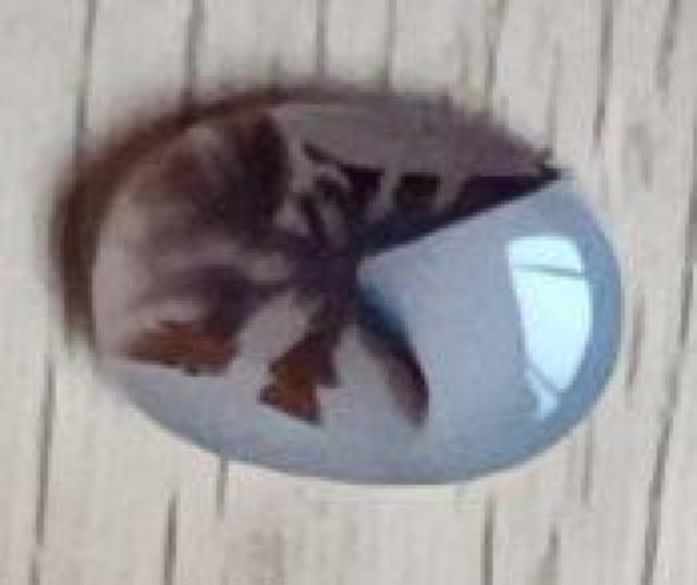 fhCgAQ[g@fheBbNAQ[g@탋[X   ybg/|/| 