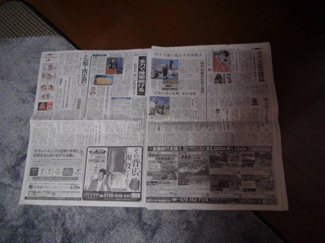 cSE  񎀋 VL2023N47()!B   zr[ 