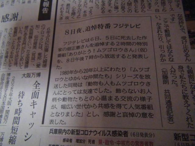 cSE  񎀋 VL2023N47()!B  zr[ 