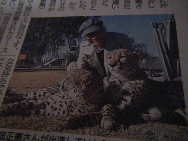 cSE  񎀋 VL2023N47()!B  zr[ 