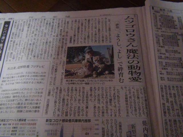 cSE  񎀋 VL2023N47()!B  zr[ 