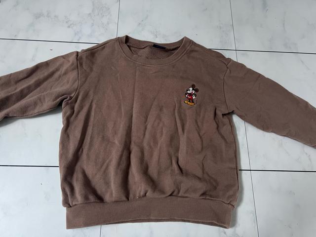 fBYj[~bL[LbYXGbg120cm   LbY/xr[ 