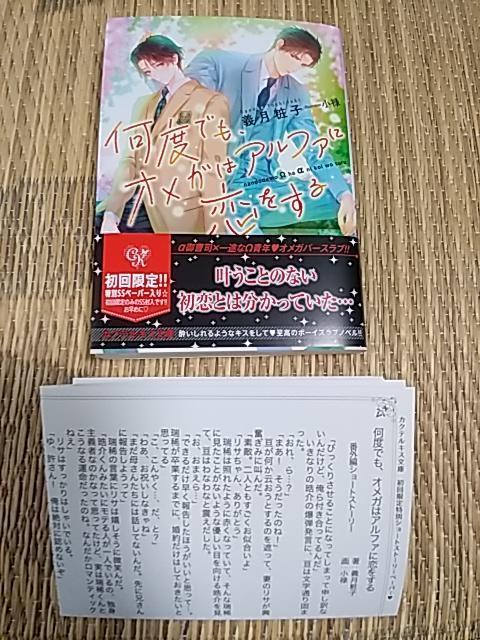 POV@@xłAIK̓At@ɗ@@`ώq/\ 