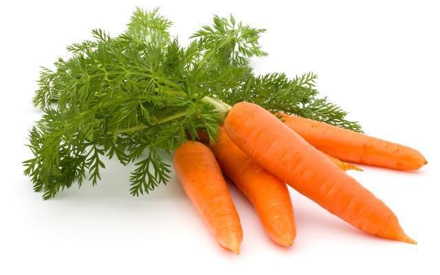 高級、甘柿と梅の木と、21種の花と野菜の種お試しセットです。安心匿名の全国送料無料です\(^o^)/ < ペット/手芸/園芸  高級、甘柿と梅の木と、21種の花と野菜の種お試しセットです。安心匿名の全国送料無料です\(^o^)/ < ペット/手芸/園芸の