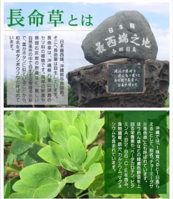 ������ �t�R�C�_�� �N���������� �T�v�������g ���N�H�i�@��3�������~4�� 1�N�� �� �w���X/�r���[�e�B�[�� 