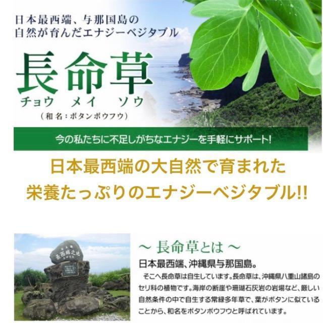 ������ �t�R�C�_�� �N���������� �T�v�������g ���N�H�i�@��3�������~4�� 1�N�� �� �w���X/�r���[�e�B�[�� 