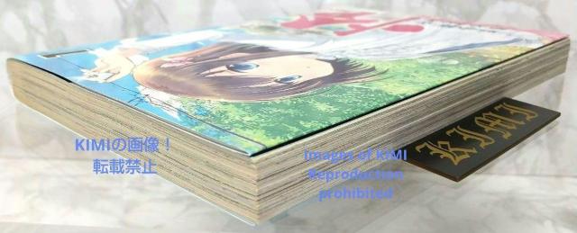 初版 怜 Toki 1 コミック 漫画 本 2016 小林 立(著),めきめき(著) ビッグガンガンコミックス 麻雀 1st Ed < アニメ/コミック/キャラクター  初版 怜 Toki 1 コミック 漫画 本 2016 小林 立(著),めきめき(著) ビッグガンガンコミックス 麻雀 1st Ed < アニメ/コミック/キャラクターの