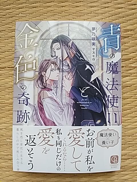 VV@@̖@gƋF̊Ձ@@@T/Xq 