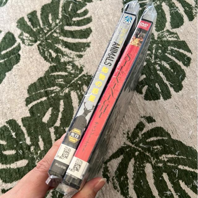 iDVD/mj̘f/TCgEiCgi2{Zbgj  CD/DVD/rfI 