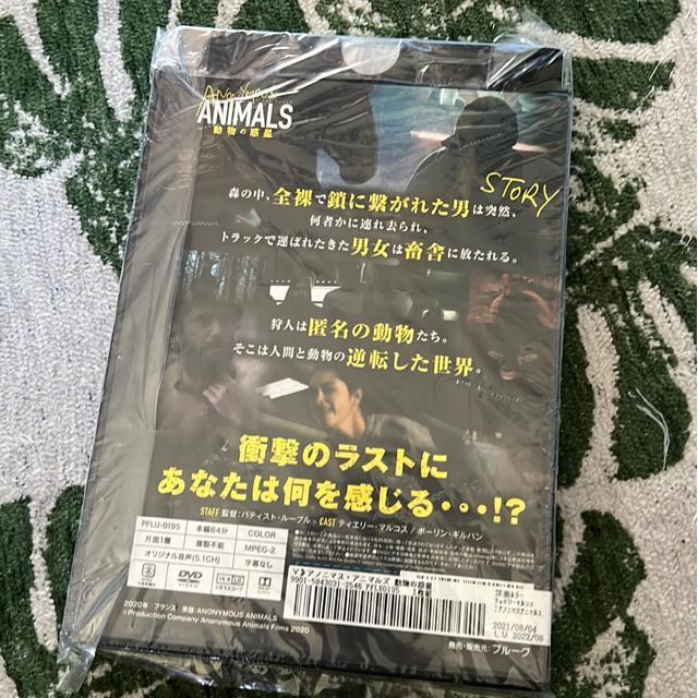 iDVD/mj̘f/TCgEiCgi2{Zbgj  CD/DVD/rfI 