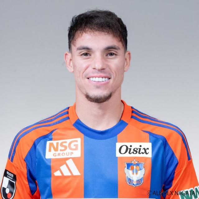 #11 �_�j�[�� �S���X�I�� �A���Z���W���P�b�g  �� ���W���[/�X�|�[�c�� 