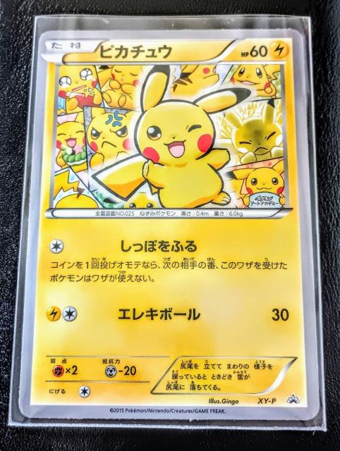 �V�i���g�p�I�|�P�J �s�J�`���E�A�[�g�A�J�f�~�[�ɔ��i�I  �� �g���[�f�B���O�J�[�h�� 